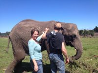 Walking with the Elephants... This baby elephant was one of the herd of 18 that we walked with, talked to and fed. Another of the many incredible experiences that we shared...